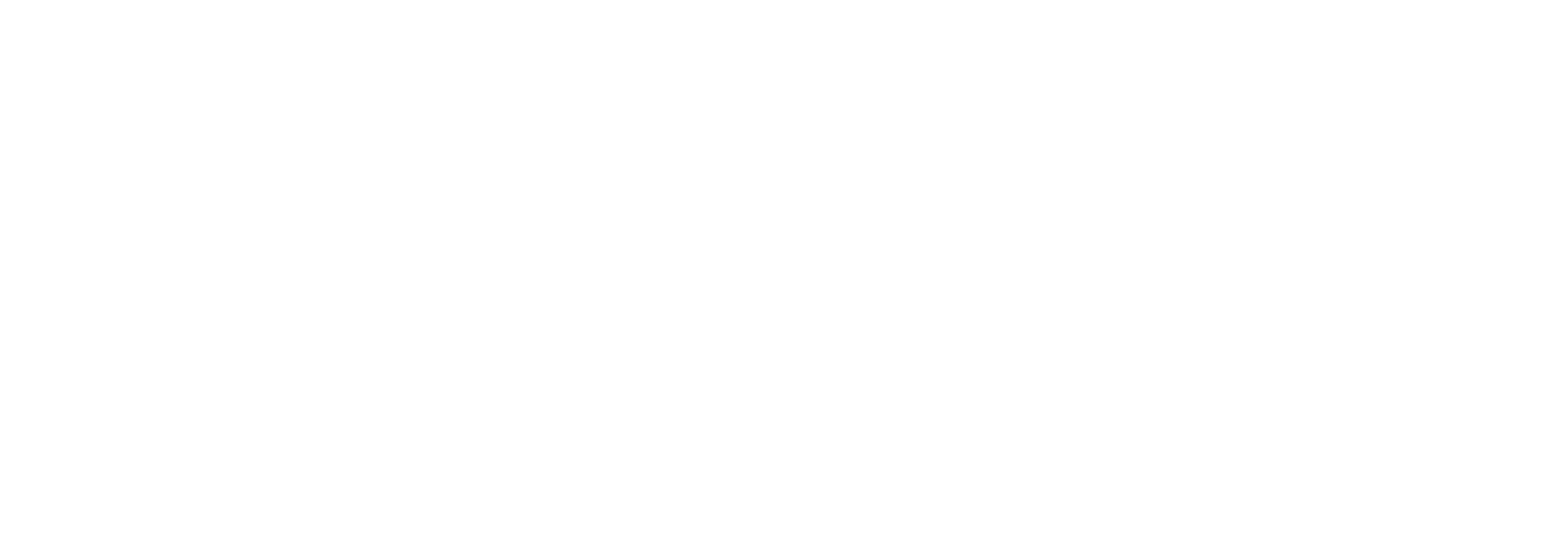 FlexTV logo